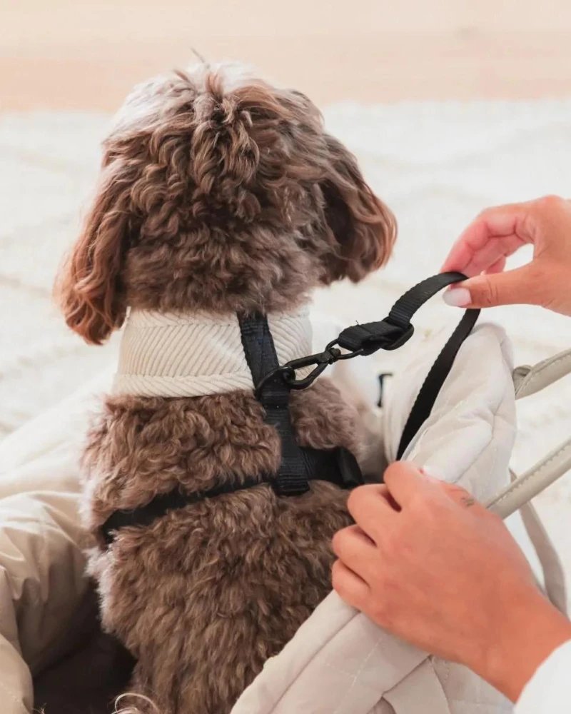 FUZZYARD Multipurpose Carrier & Car Seat - Image 14