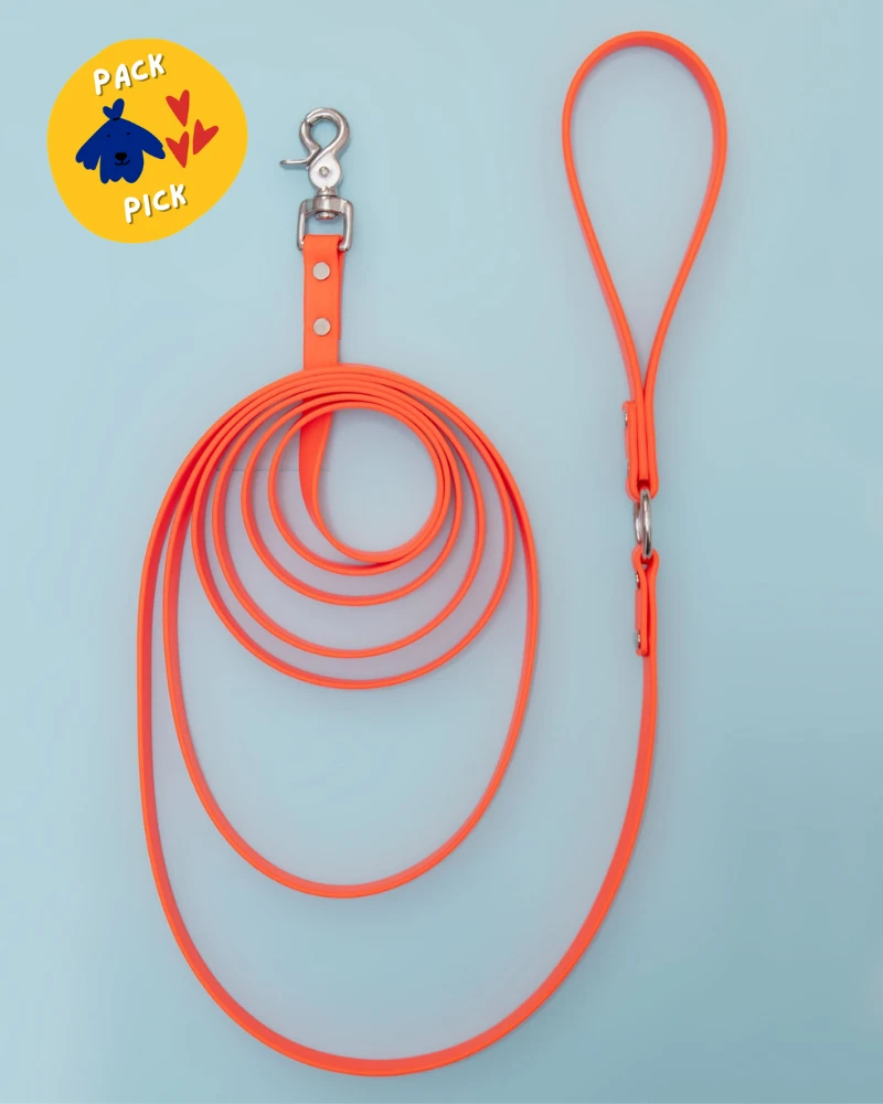 DOG & CO. COLLECTION Weekend Long Leash In Neon Orange (10 Or 20 Foot) (Made In The USA)