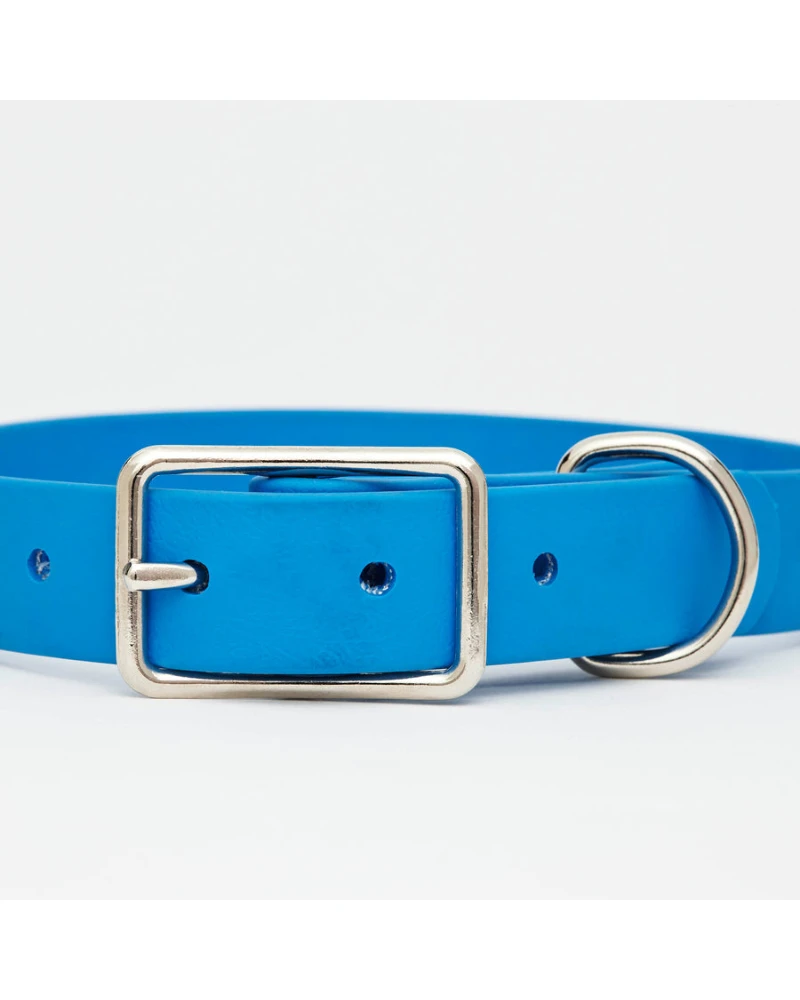 HOT DOGS ALL DRESSED Sky Blue Vegan Leather Dog Collar With Clouds (Made In Canada) - Image 2