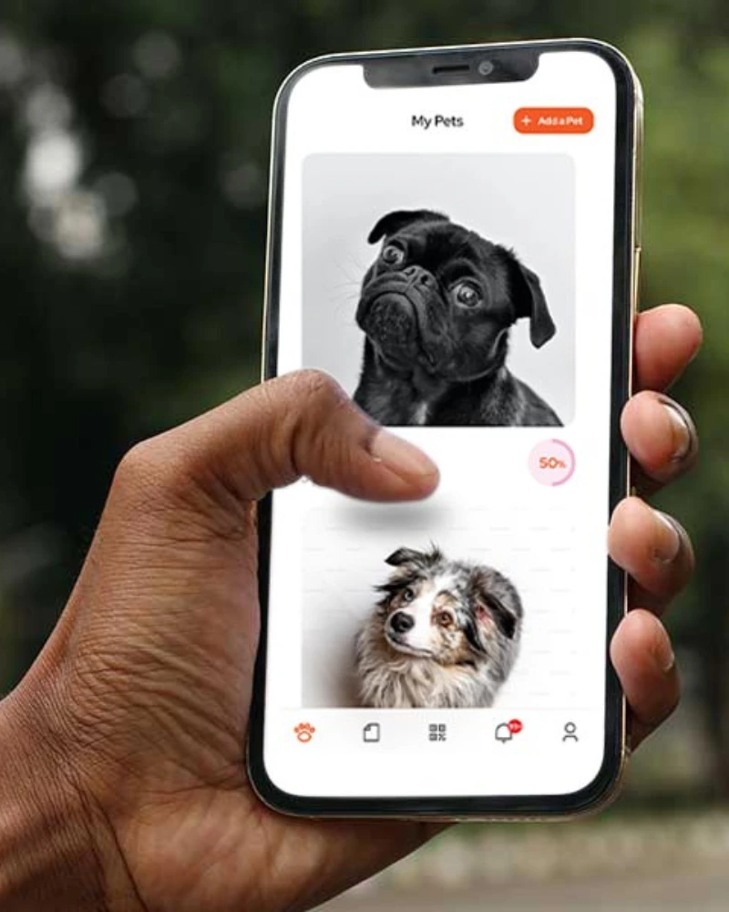 TAILR Tailr QR ID Tag For Pets (Slide Tag) - Image 7