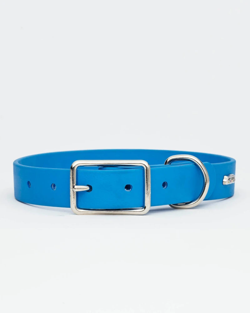 HOT DOGS ALL DRESSED Sky Blue Vegan Leather Dog Collar With Clouds (Made In Canada) - Image 4