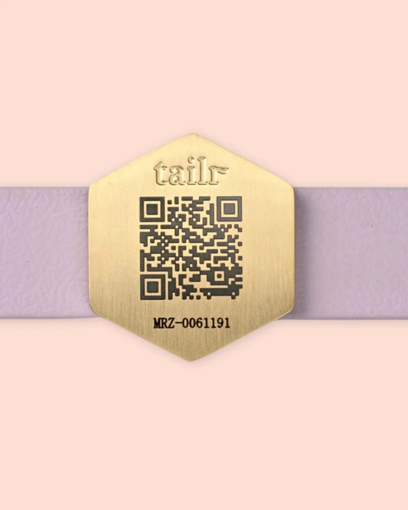 TAILR Tailr QR ID Tag For Pets (Slide Tag) - Image 2