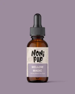 NONIPUP Mellow Magic Soothing Serum For Dogs