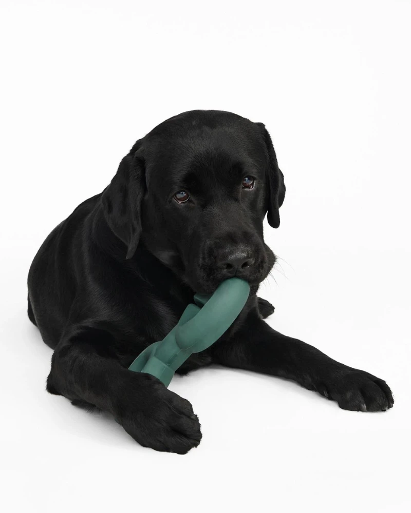 FABLE Twin Falcon Interactive Dog Toy - Image 5