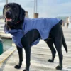 BAY DOG Narragansett Bay Dog Sailing Jacket
