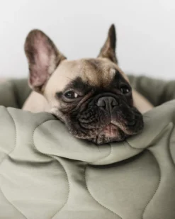 LAMBWOLF COLLECTIVE Taart Reversible Donut Pet Bed (FINAL SALE)