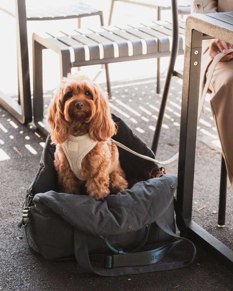 FUZZYARD Multipurpose Carrier & Car Seat - Image 2
