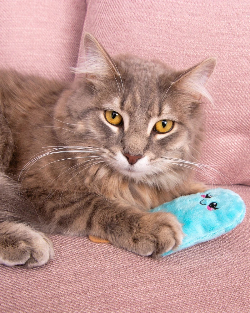 CROCHET KITTY Catnip Fur-ezze Pop Cat Plush Toy (Made In The USA) - Image 2