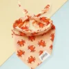 THE PAWS Mr. Crabby Dog Bandana