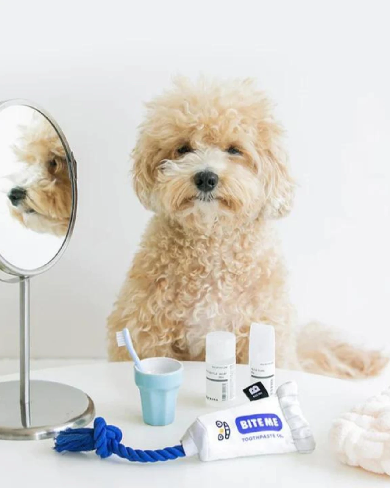 BITE ME Toothpaste Gel Dog Toy - Image 2