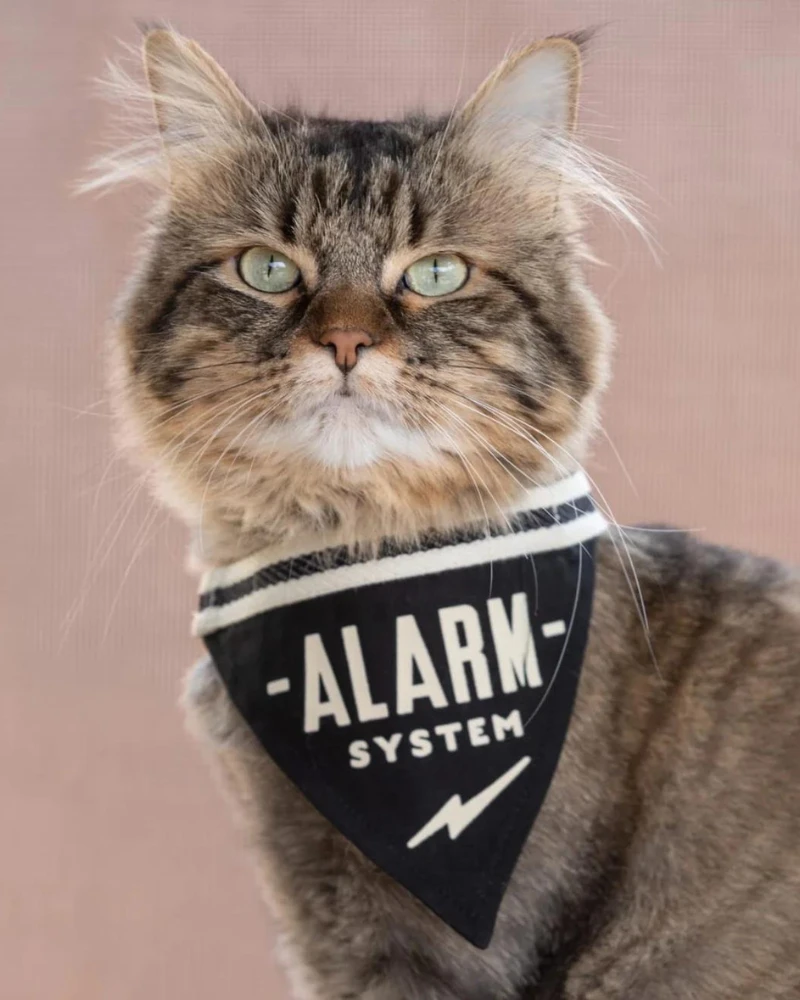 BRASS MONKEY Alarm System Pet Bandana - Image 2