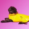 WARE OF THE DOG Shiny Puffer Dog Jacket W/ Faux Fur Hood (Made In The USA) (FINAL SALE)