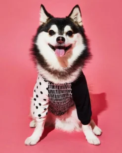 WARE OF THE DOG Geometric Print Dog T-Shirt (Made In The USA)