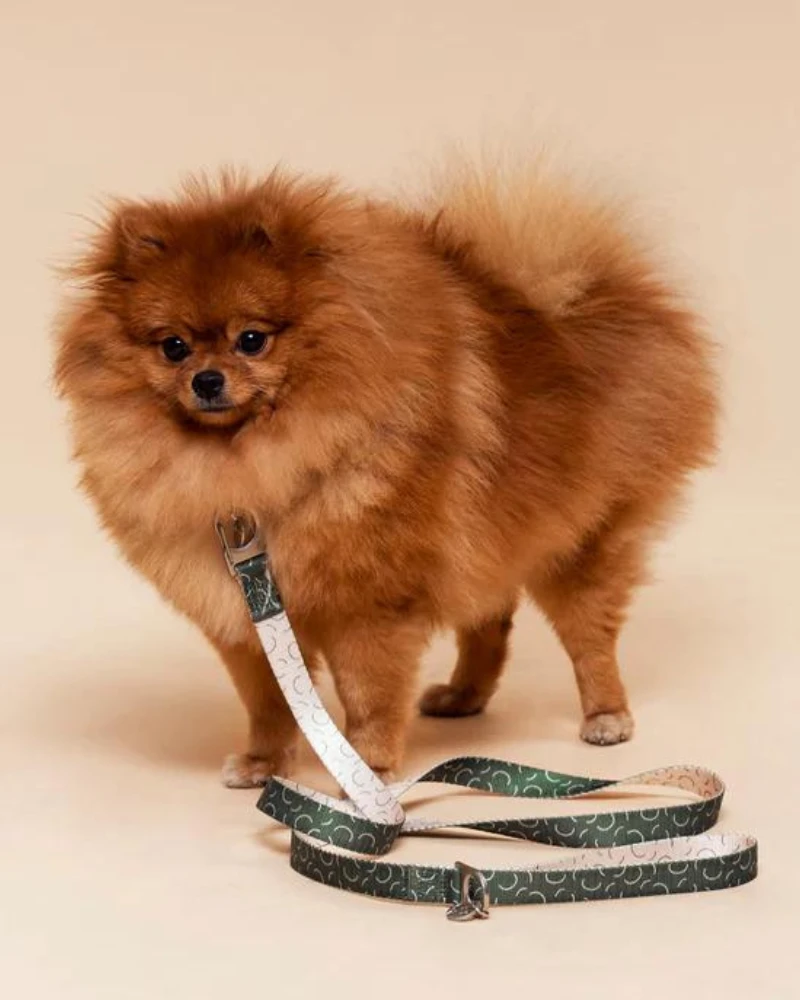 FUR SIE Sabine Vegan Dog Leash (FINAL SALE) - Image 2