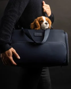 DIGGS Passenger Travel Pet Carrier (Airline-Friendly)