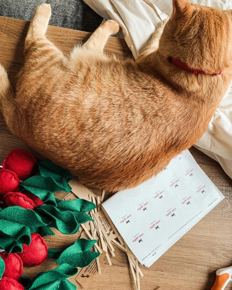 CIAO GATTO Woolen Crunchy Radish Catnip Toy - Image 6