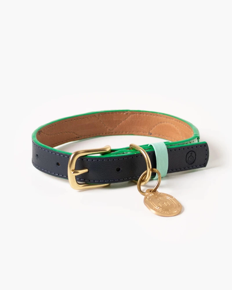 RAMONA FOR YOU Brave Leather Dog Collar (Made In Guatemala) - Image 4