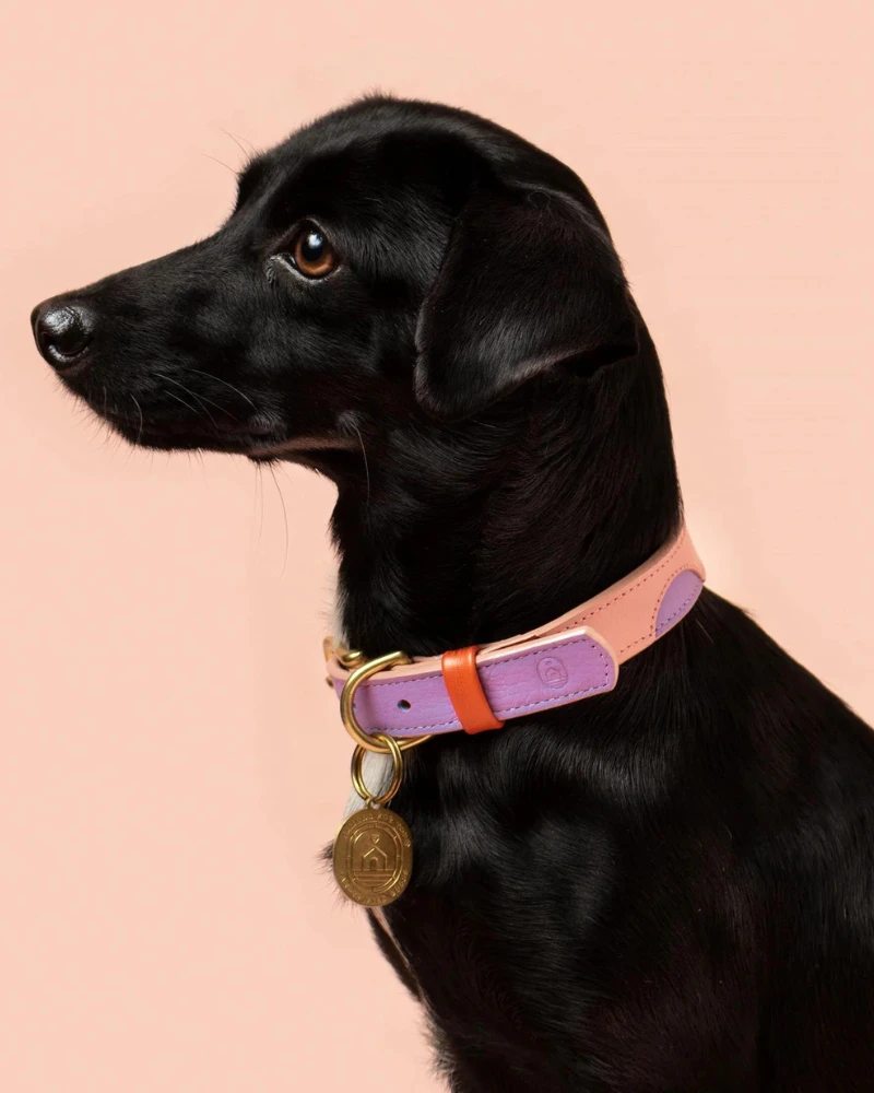 RAMONA FOR YOU Sweet Leather Dog Leash (Made In Guatemala) - Image 4