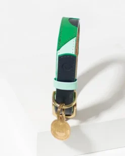 RAMONA FOR YOU Brave Leather Dog Collar (Made In Guatemala)