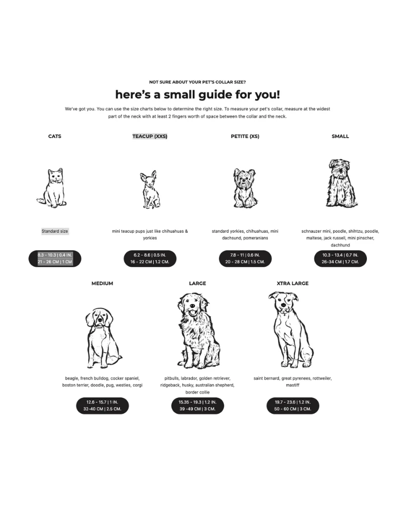 RAMONA FOR YOU Brave Leather Dog Collar (Made In Guatemala) - Image 6