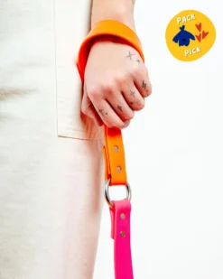 DOG & CO. COLLECTION City Leash In Neon Pink & Neon Orange (4 Or 6 Foot) (Made In The USA)