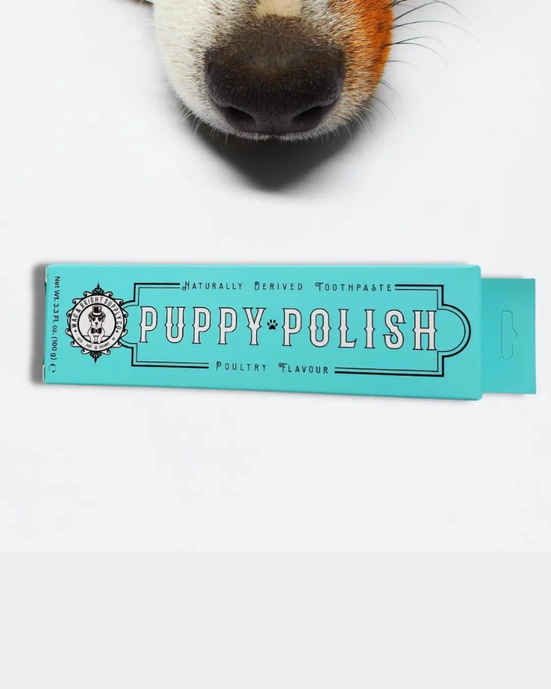 WAG & BRIGHT SUPPLY CO. Puppy Polish Natural Dog Toothpaste - Image 4