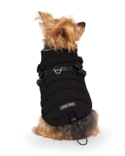 CANADA POOCH Harness Puffer Dog Jacket In Black (FINAL SALE)
