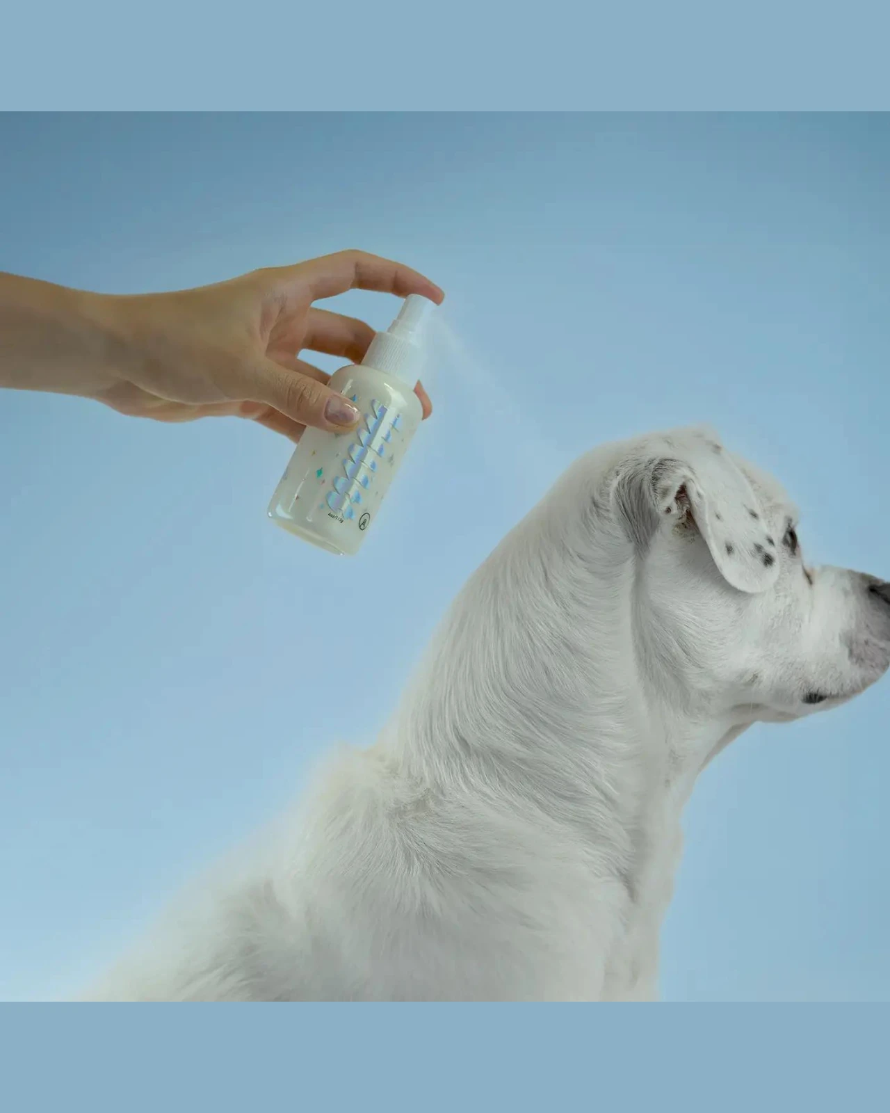 MUTT FRESH DOG CARE No Rinse Dry Shampoo Mists For Pets In Fresh Lavender (Made In The USA) - Image 3