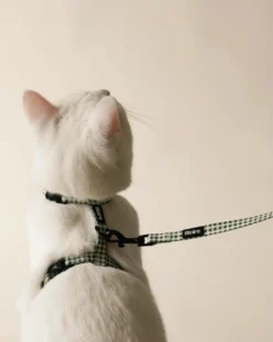 Bloire Green Plaid Matching Cat Harness & Leash Set