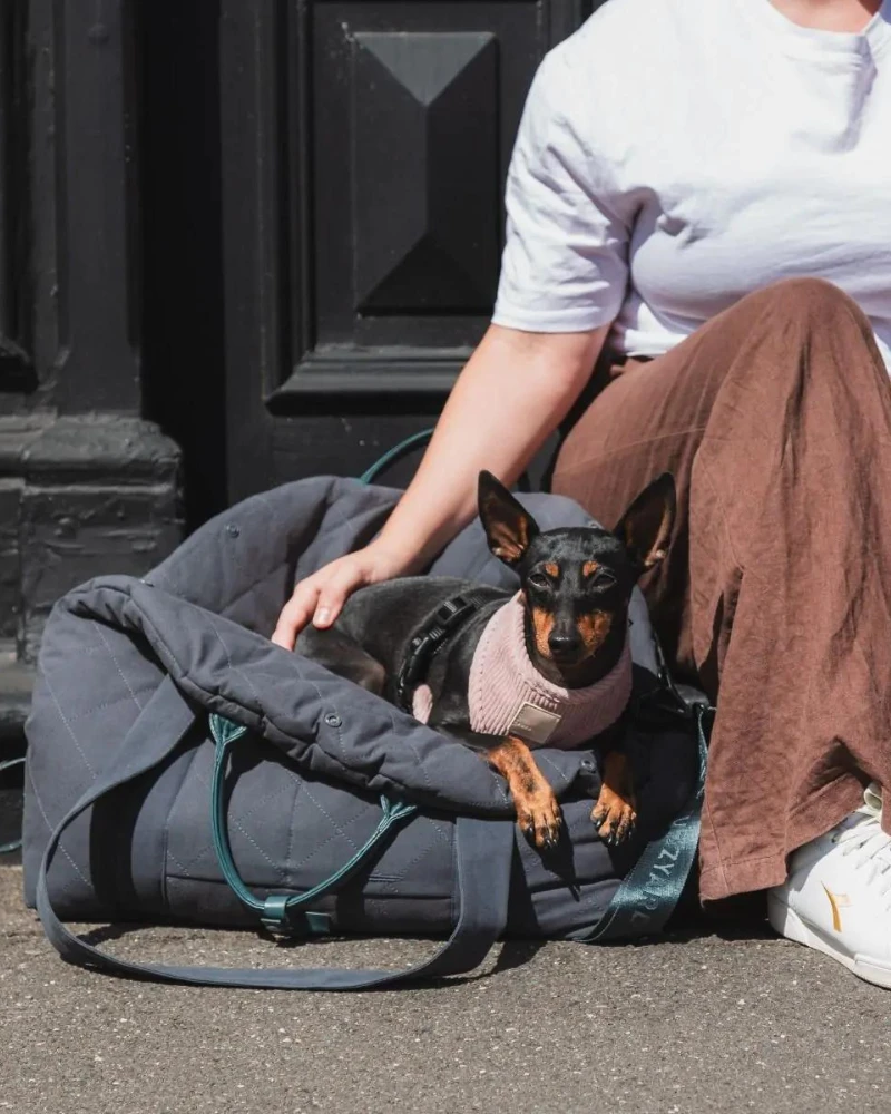 FUZZYARD Multipurpose Carrier & Car Seat - Image 4