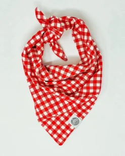 CAMP HOUND Red Gingham Picnic Dog Bandana (Made In The USA)