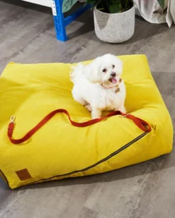 NICE DIGS Cord Dog Leash In Rust