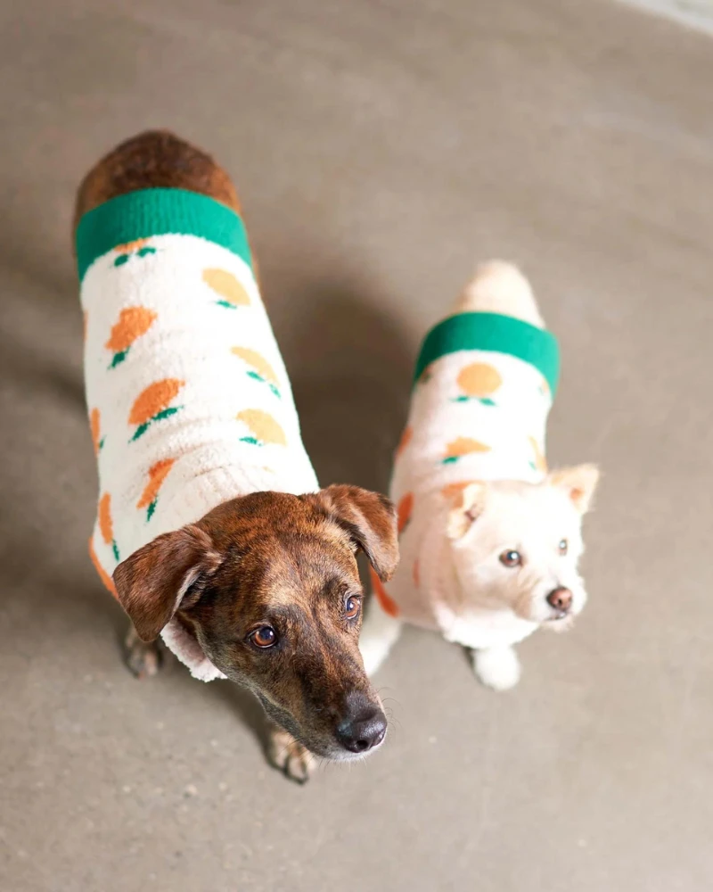 THE FURRYFOLKS Orange Dog Sweater - Image 5