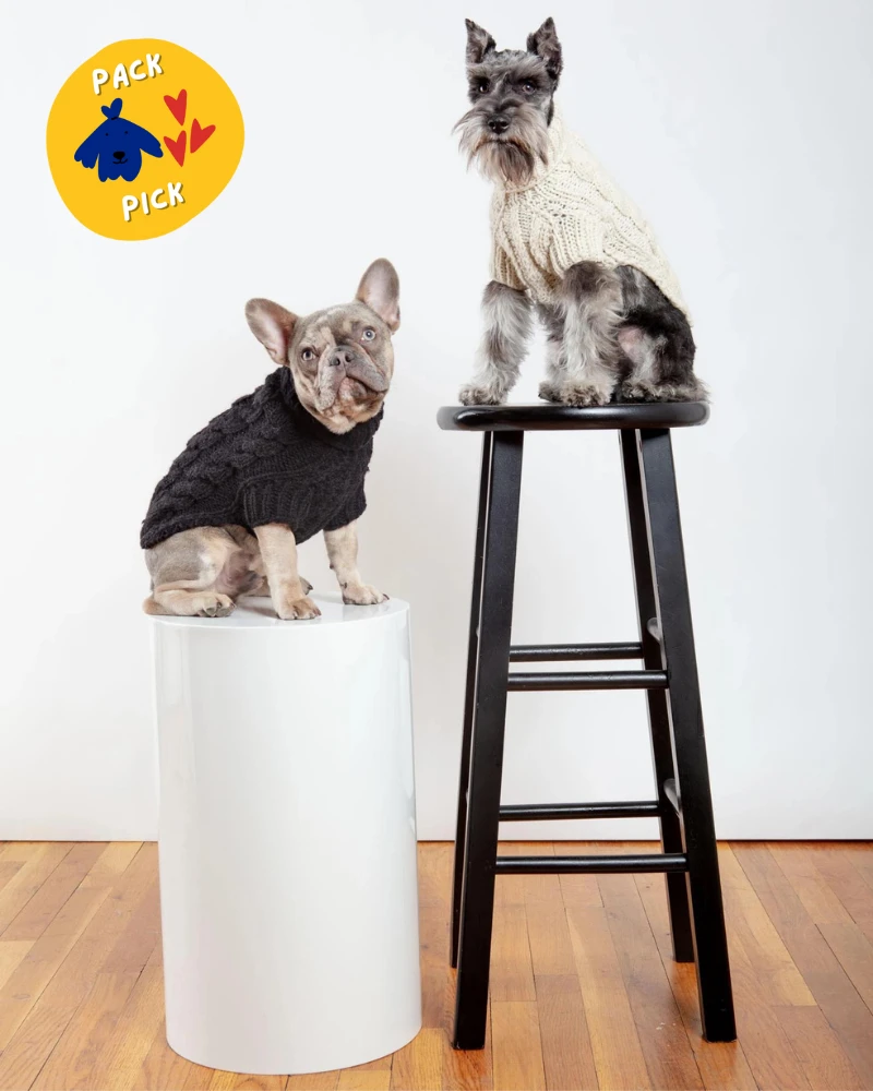 DOG & CO. COLLECTION Downtown Roll Neck Dog Sweater In Natural - Image 3