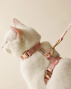Bloire Meadow Matching Cat Harness & Leash Set
