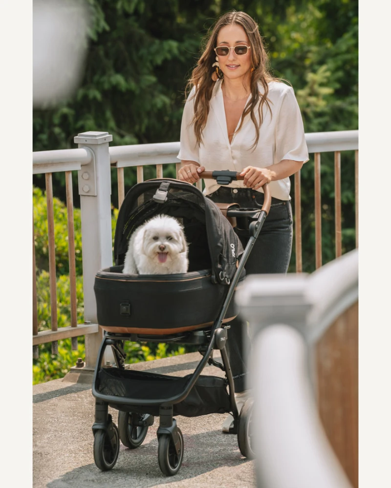 TAVO PET Maeve™ + Roscoe™ 3-in-1 Pet Stroller & Car Seat - Image 9
