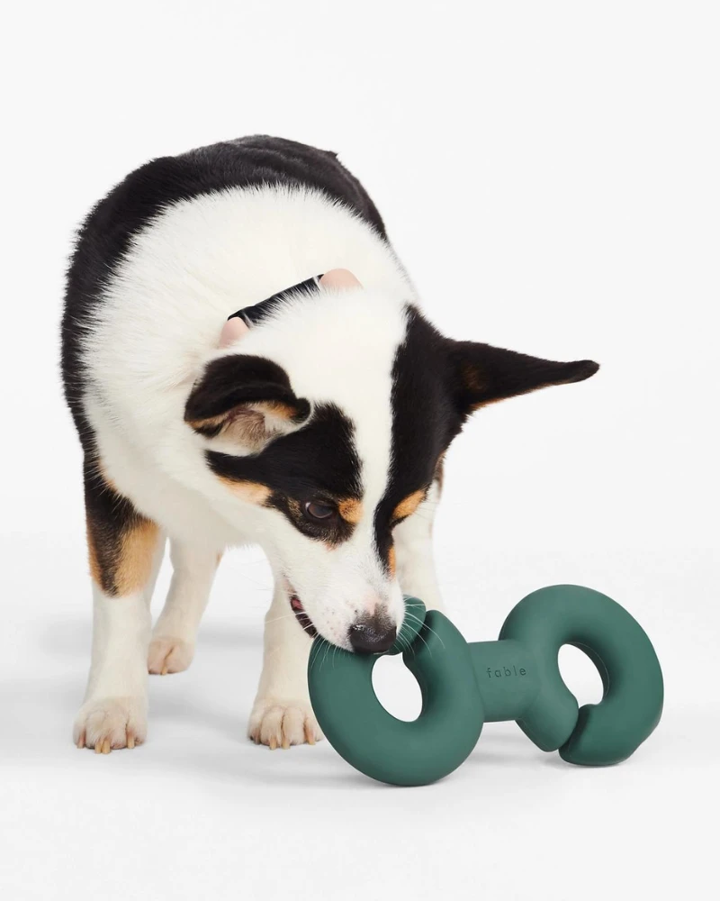 FABLE Twin Falcon Interactive Dog Toy - Image 6