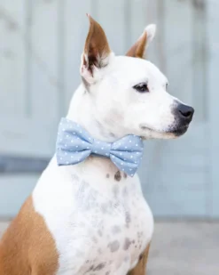 THE FOGGY DOG Chambray Dots Dog Bow Tie (Made In The USA)