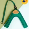 CHARLIE'S BACKYARD Adjustable Easy Dog Harness In Green