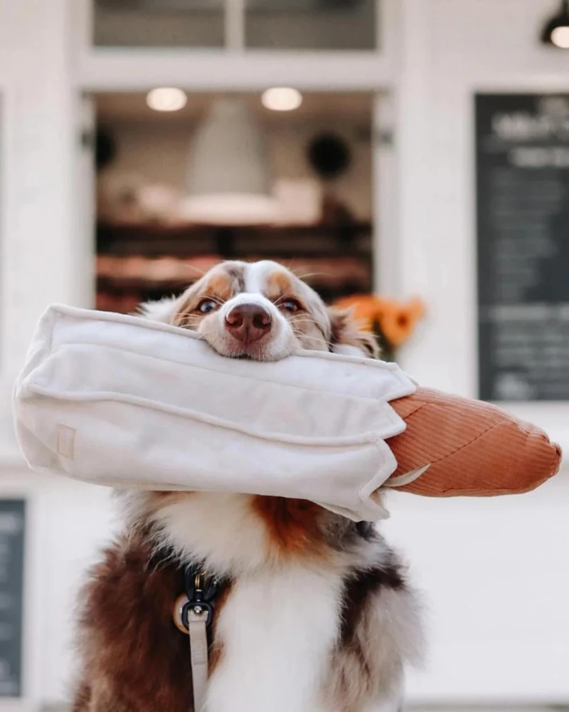 LAMBWOLF COLLECTIVE Baguette Nosework Squeaky Dog Toy