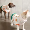 THE FURRYFOLKS Orange Dog Sweater
