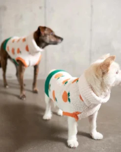 THE FURRYFOLKS Orange Dog Sweater