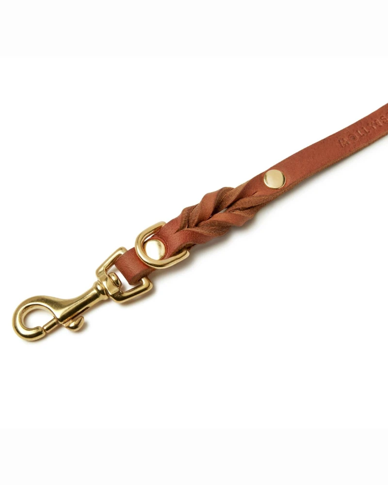 MOLLY & STITCH Butter Leather Dog Leash In Sahara Cognac (Made In Austria) - Image 3