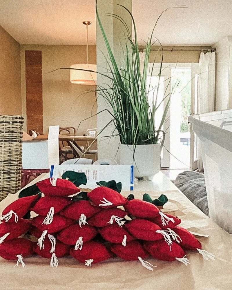 CIAO GATTO Woolen Crunchy Radish Catnip Toy - Image 7