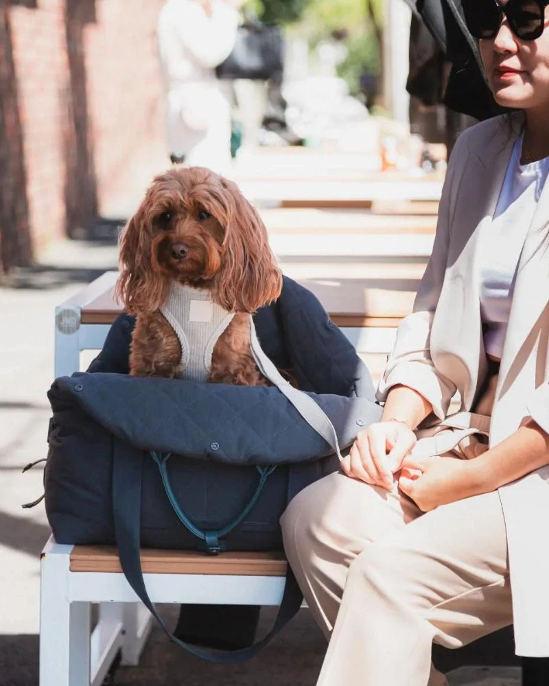 FUZZYARD Multipurpose Carrier & Car Seat - Image 7