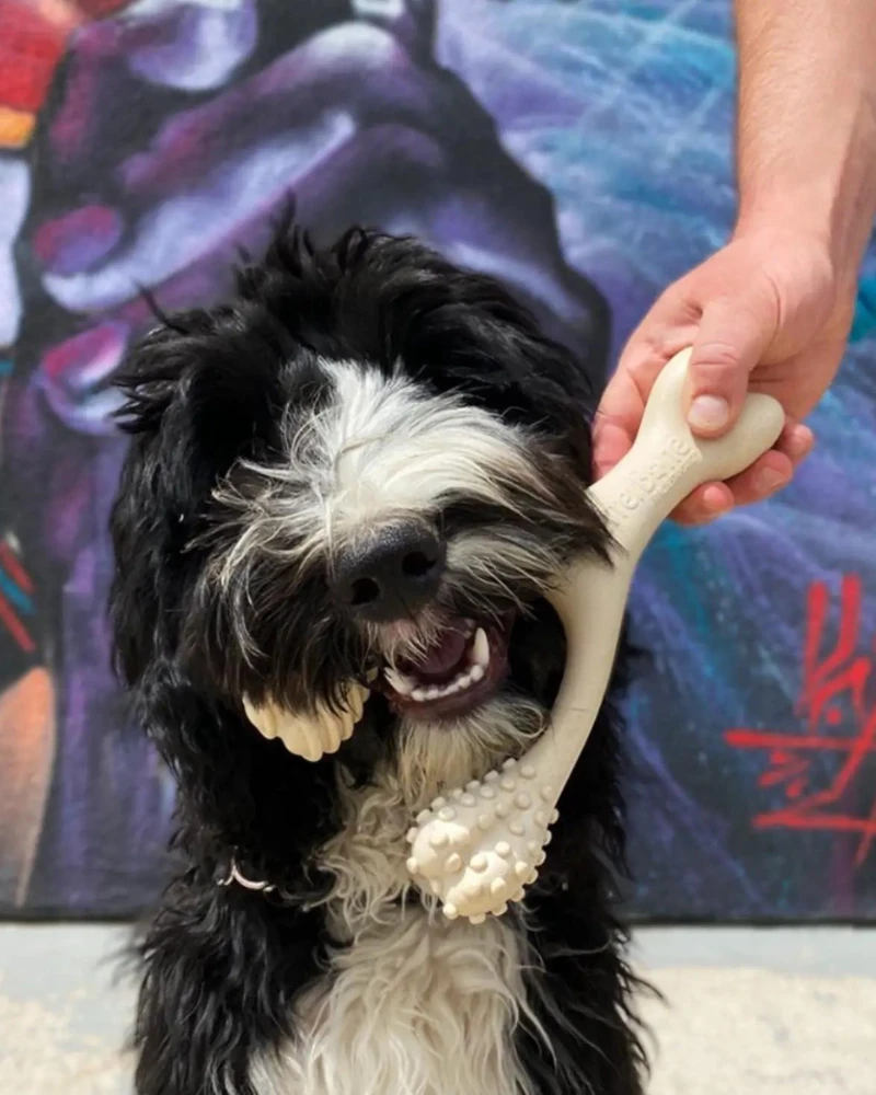 BETTERBONE Natural Hypoallergenic Eco-Friendly Dog Chew Toy - Image 5