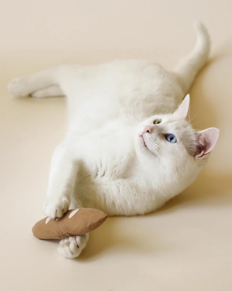 Bloire Warm Baguette Catnip Toy - Image 2