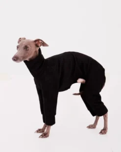 FORGALGO Dog Onesie In Black