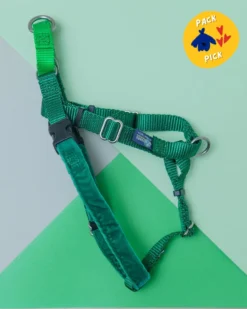 2 Hounds Design Freedom No-Pull Harness In Kelly Green (Made In The USA) (FINAL SALE)