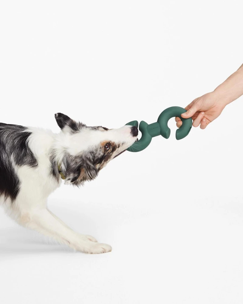 FABLE Twin Falcon Interactive Dog Toy - Image 2